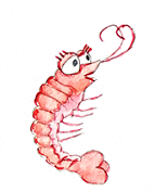 Une illustration tirée de L'histoire du flamant rose qui aimait une crevette